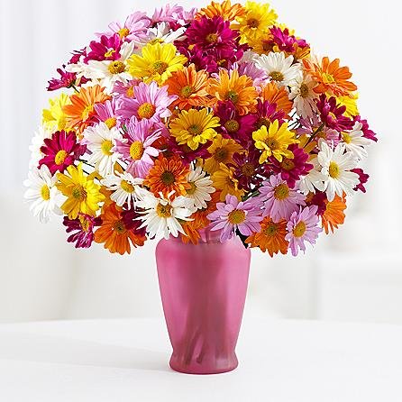 Alamo Rental Coupons Help A Lot When The Times Are Though